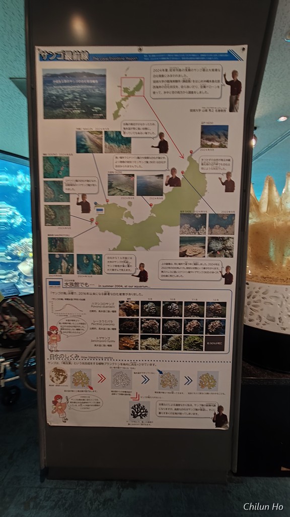 沖縄美ら海水族館